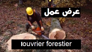 Photo of اعلان عن توظيفouvrier forestier
