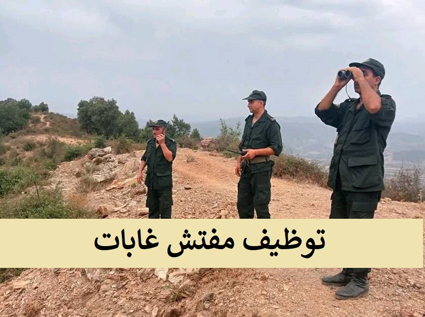 محافظة الغابات