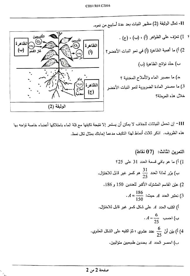 535577798_1232444728895593_4550962662481389815_n